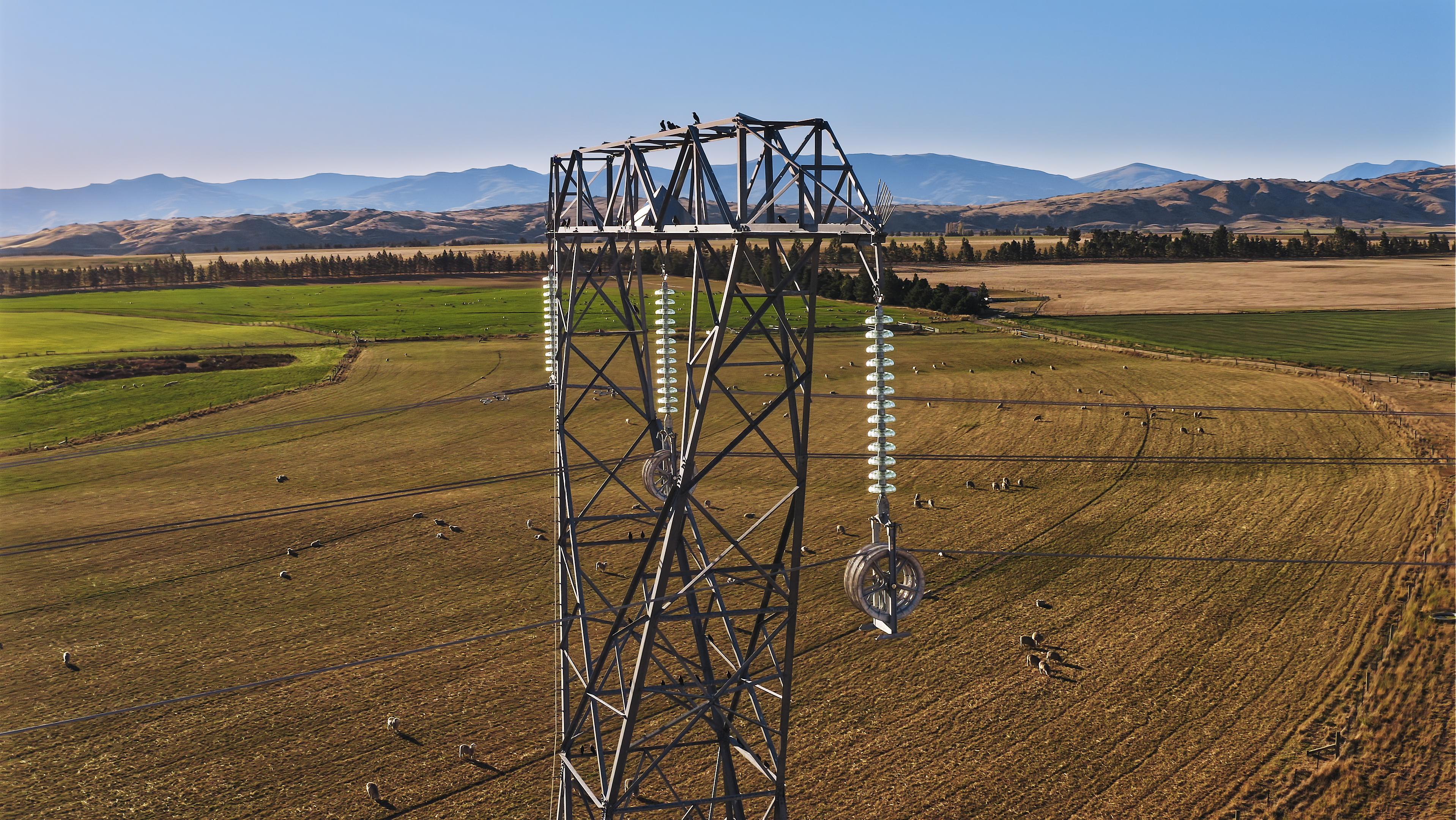 Transpower announces new Chair and Board extension | Transpower