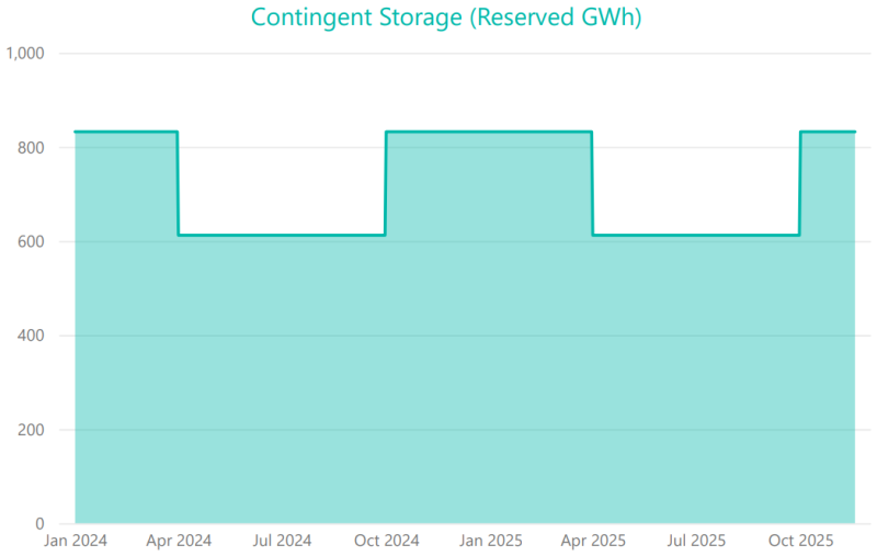 Contingent Storage 16 November 2025