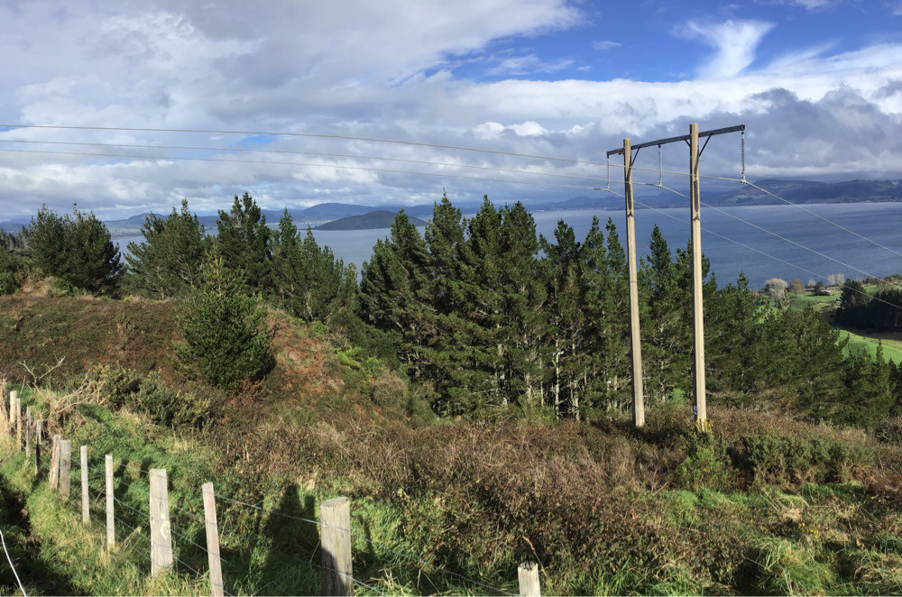 Arapuni-Edgcumbe pole 285 