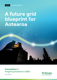 Cover image from Imagining Aotearoa in 2050 consultation document