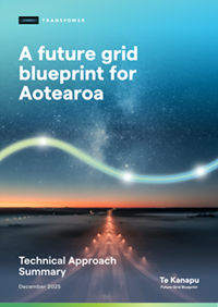 Cover image of Te Kanapu Technical Approach exec summary