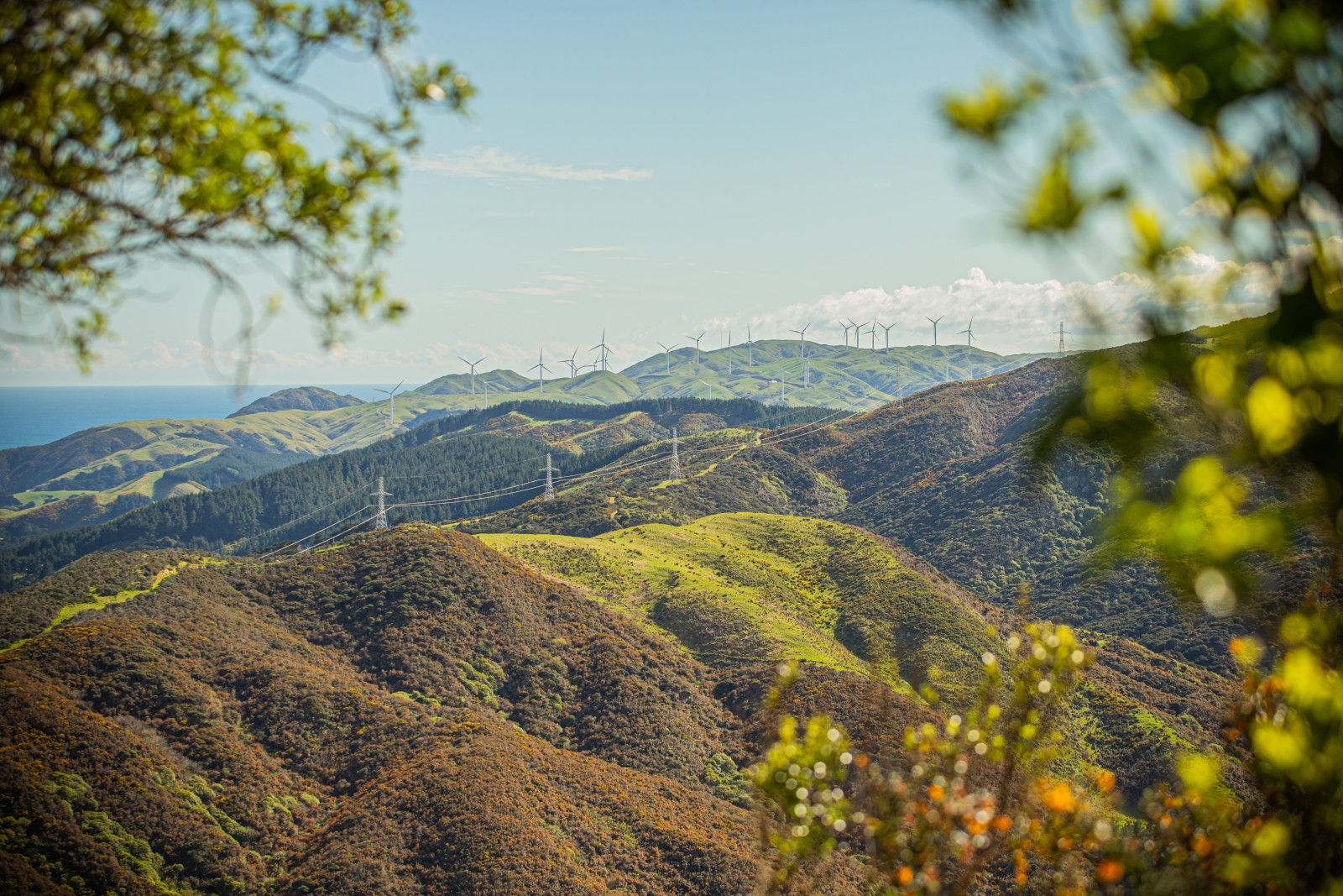 Mākara West Wind Farm, Meridian