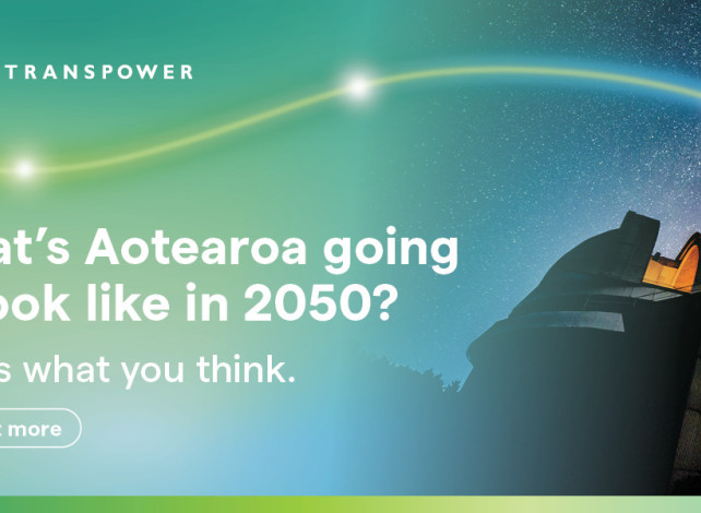 Te Kanapu Consultation 
