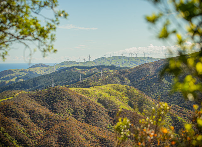 Image of wind turbines spread across hills with foliage and trees in the foregound.