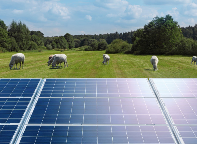 Accelerated investment in electricity supply must continue, Transpower analysis shows