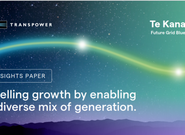 The cover image for Te Kanapu's insights paper