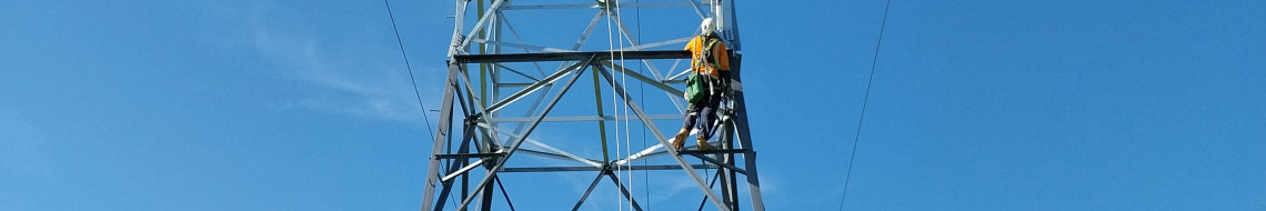 Completed tower with parallel body extension