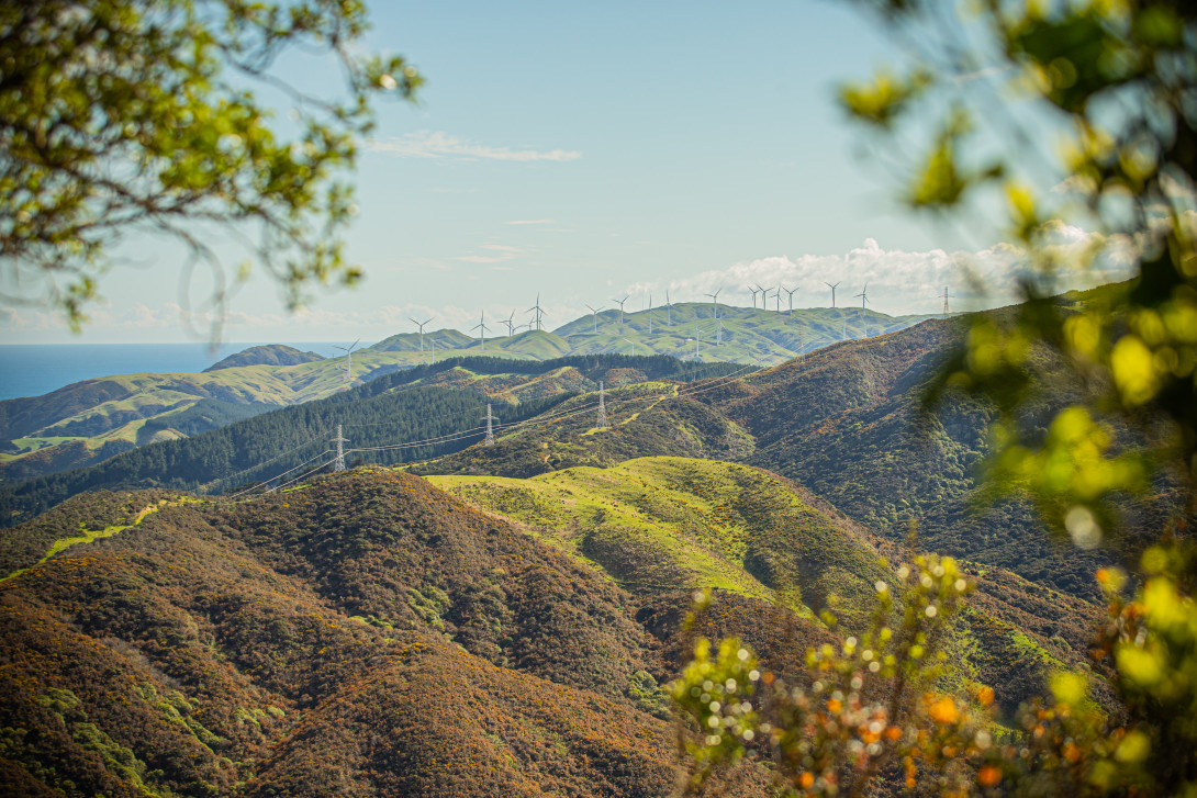 Image of wind turbines spread across hills with foliage and trees in the foregound.