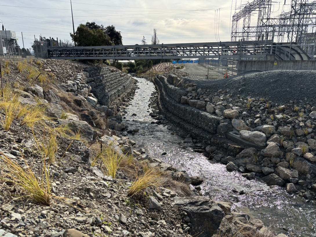 Image of a stream running through a substation.