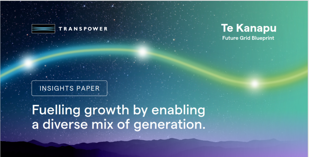 The cover image for Te Kanapu's insights paper